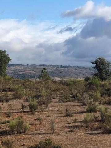 فيلا 3 Marias Da Fonte Lousã المظهر الخارجي الصورة